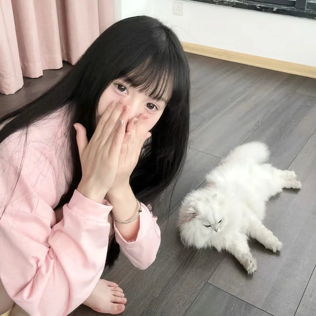 猫忍